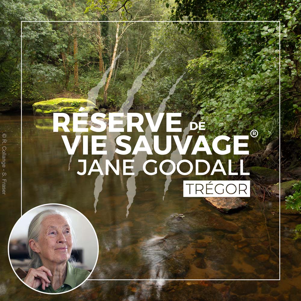 JGI-Tregor