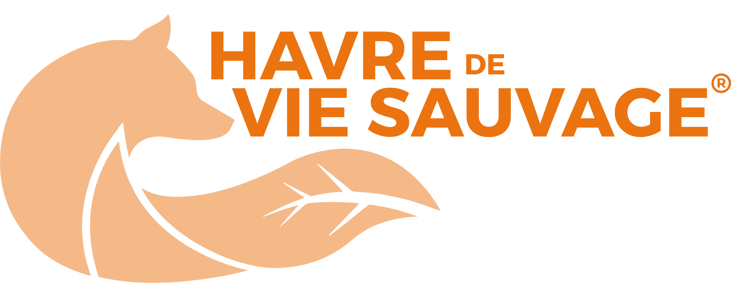 logo hvs