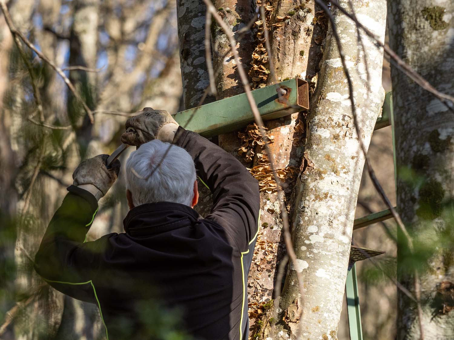 vvs-operation-mirador-17