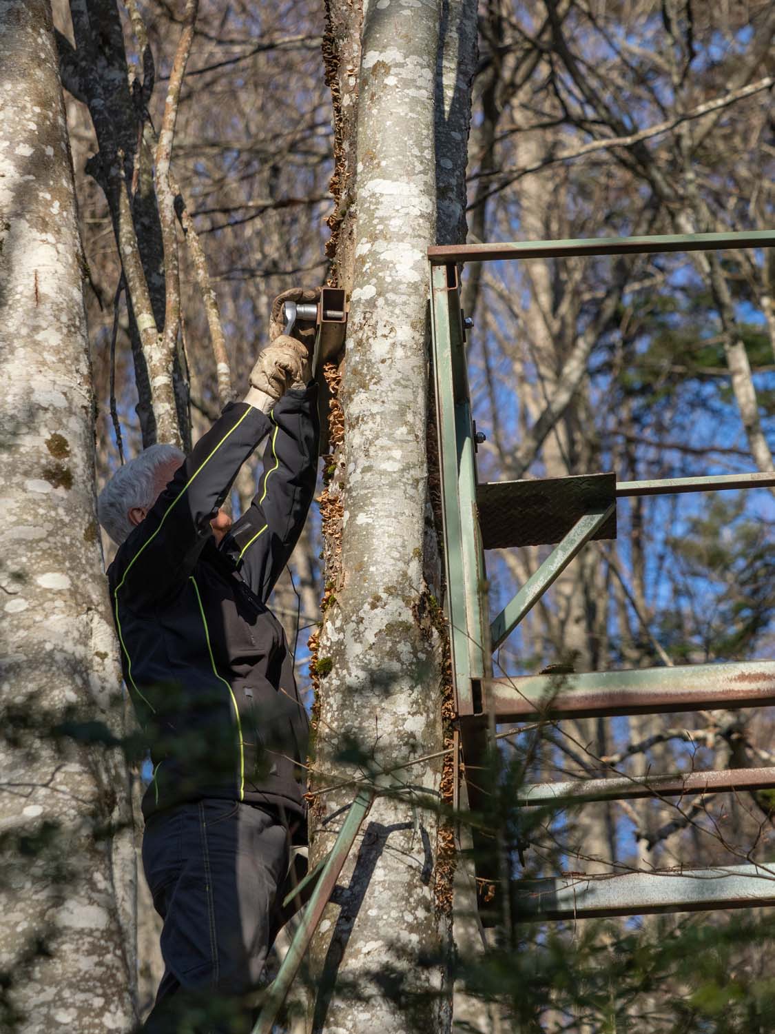 vvs-operation-mirador-18