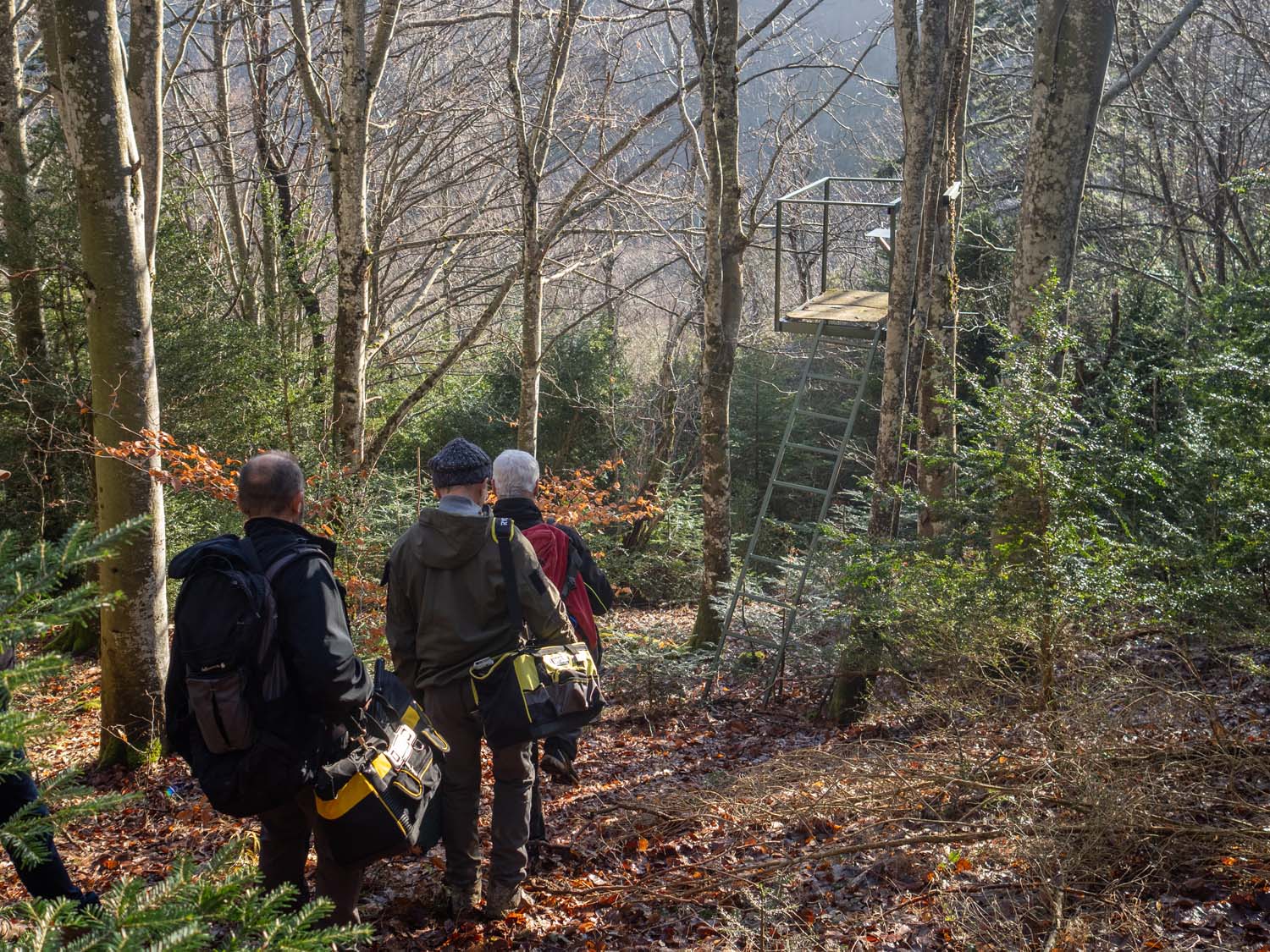 vvs-operation-mirador-23