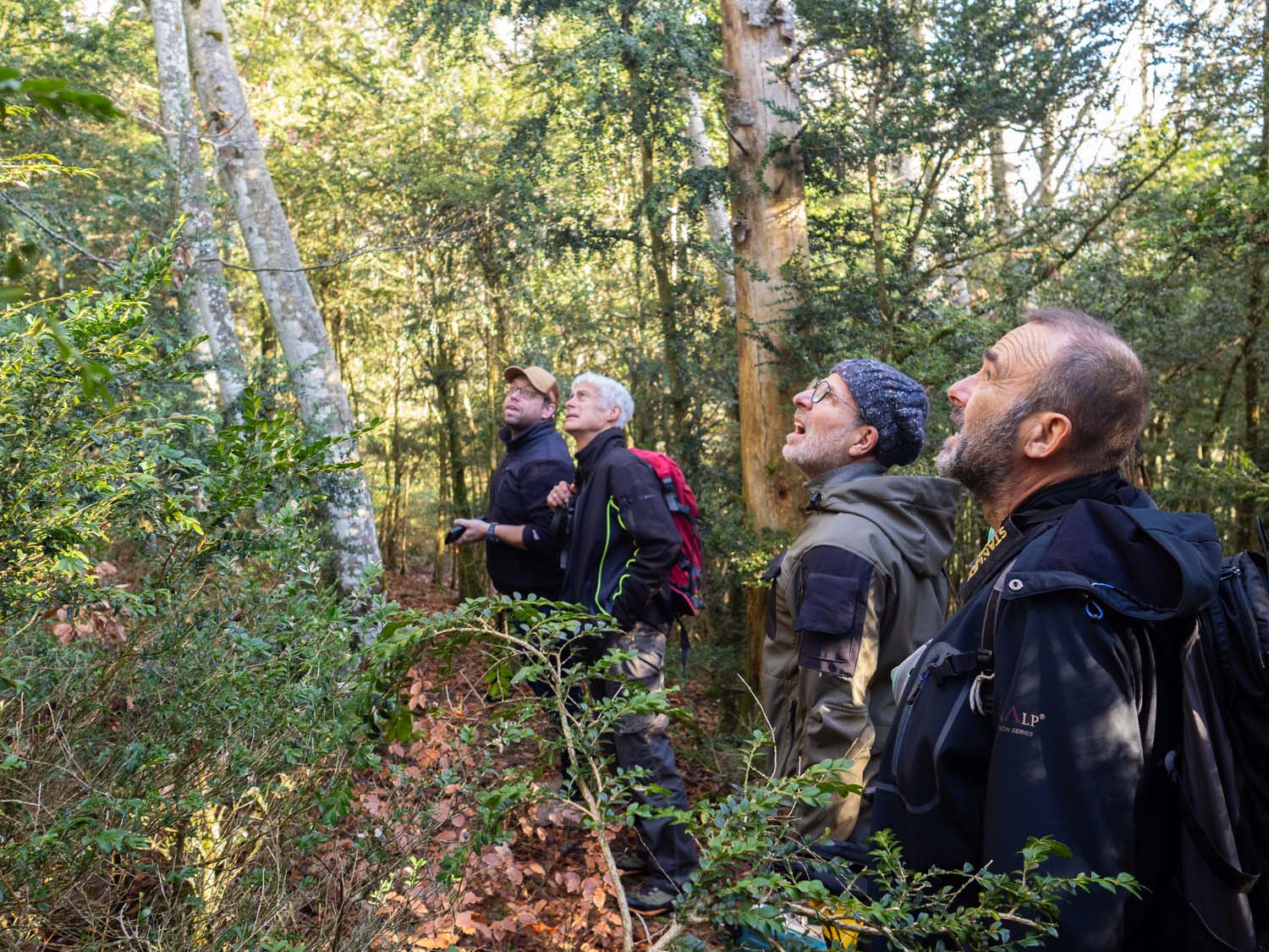 vvs-operation-mirador-24