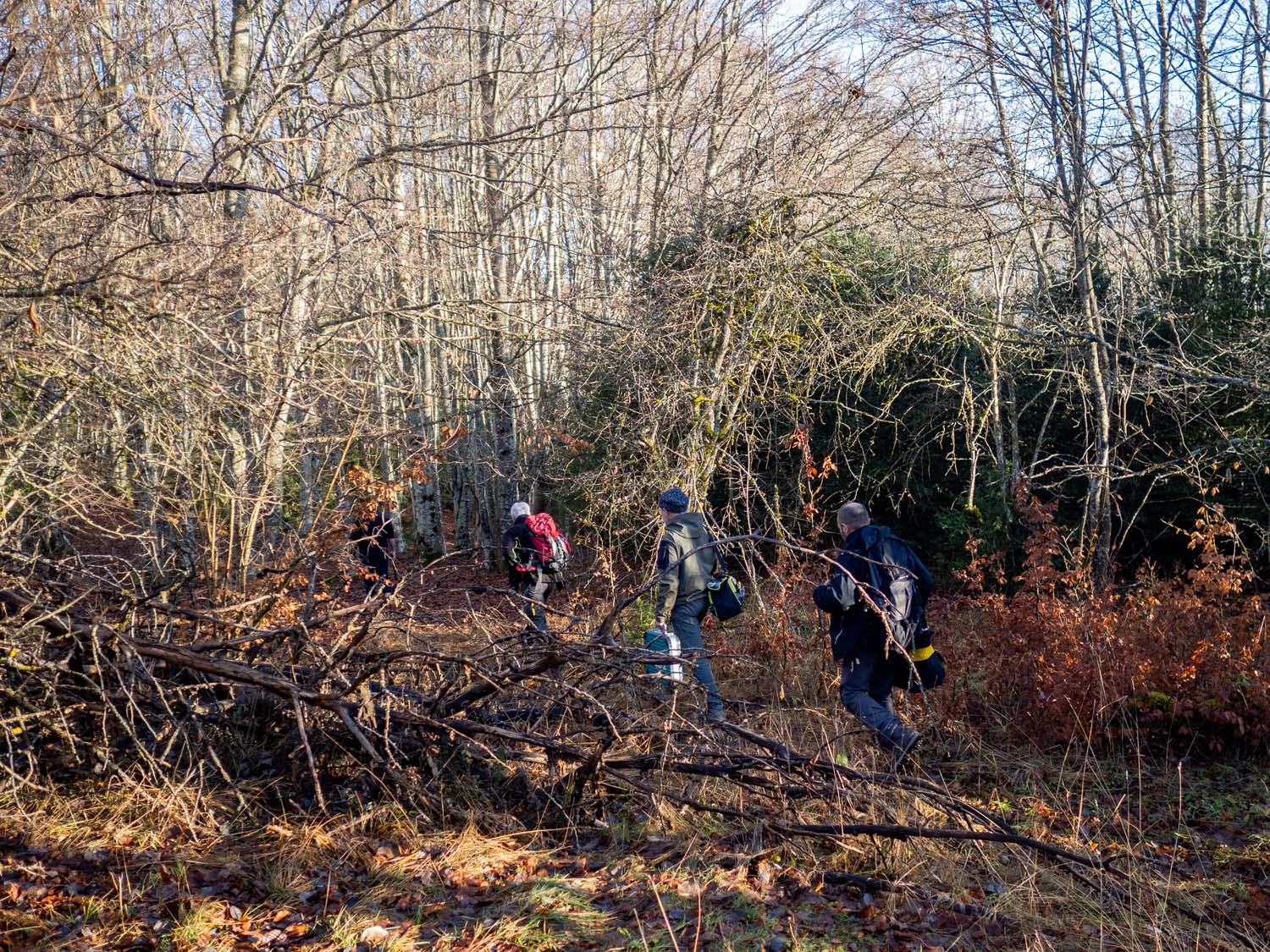 vvs-operation-mirador-25